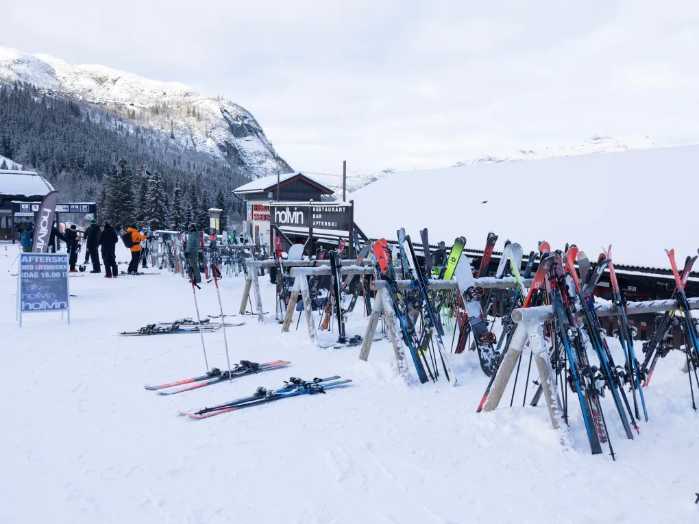 Utenfor hollvin om vinteren.