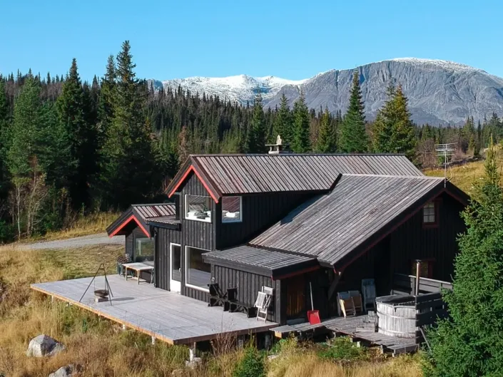 Bilde av et brunt hus