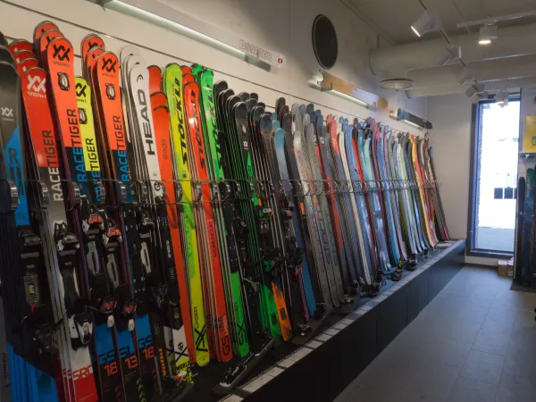 Ski.