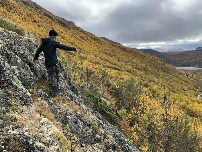Mann som går tur om høsten i Solheisen sine fjell