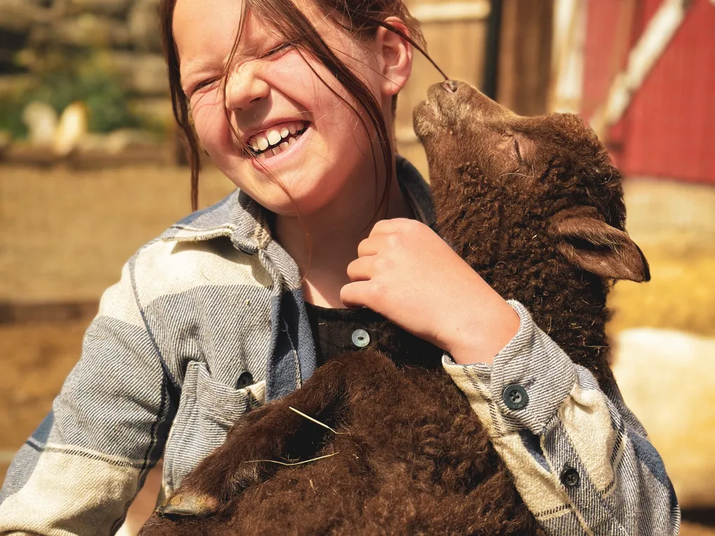 Bilde 22 06 2023 14 20 14 1