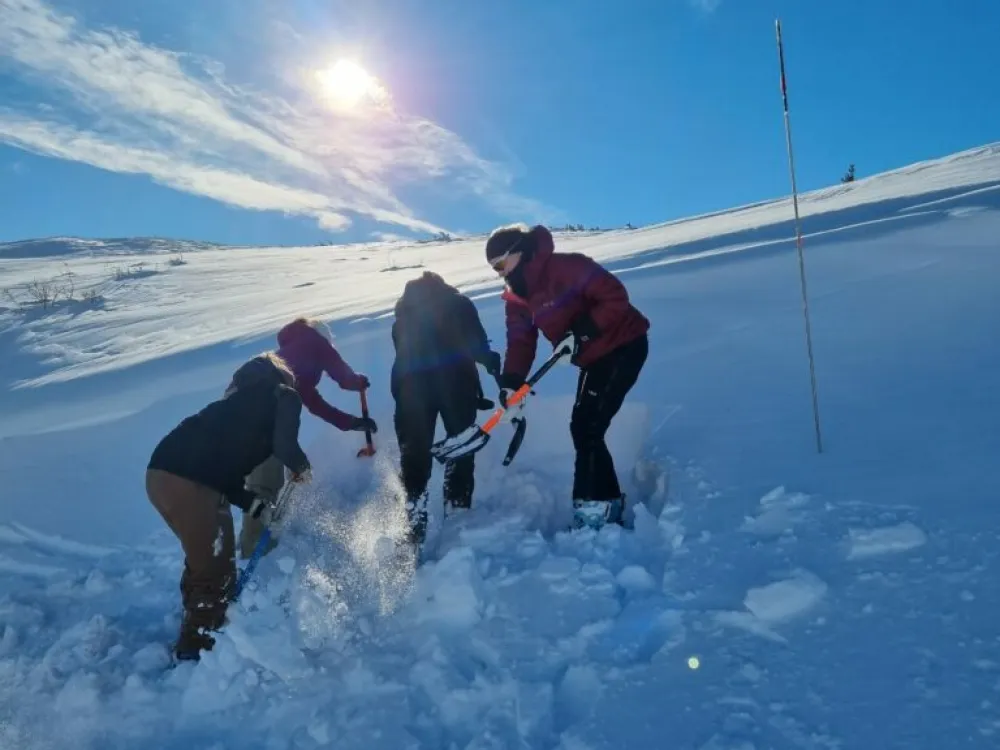 Bilde til skredkurs 2022, mennesker som graver i snøen, og i bakgrunnen er det sol og fint vær.