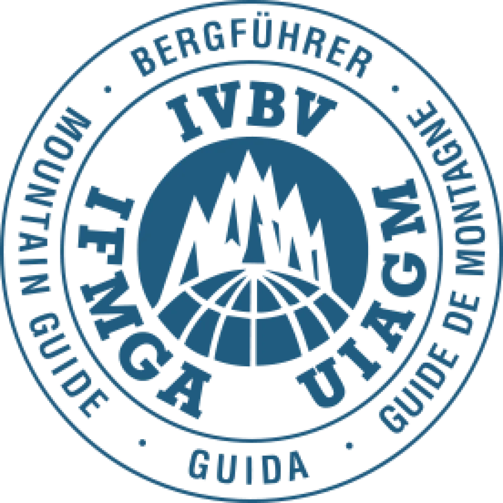 Ivbv logo.