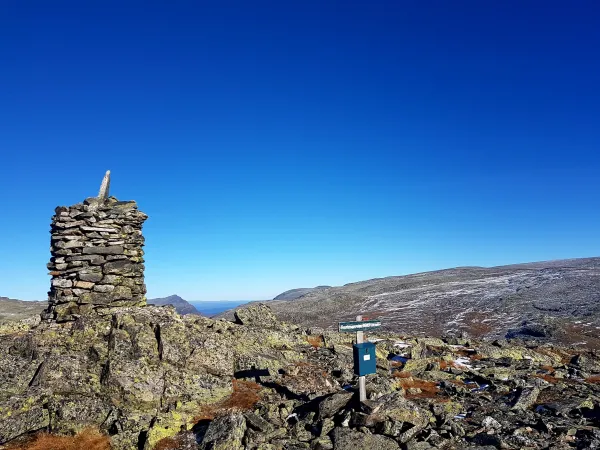 Buaknuppen 16 Gry Bjerknes 1