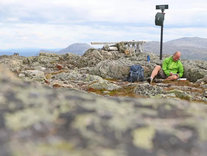 Nils Erik Bjorholt33