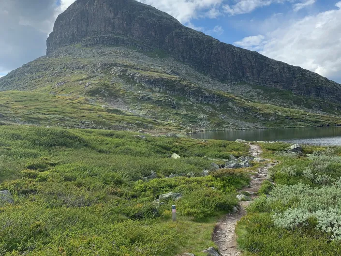 Storehødn