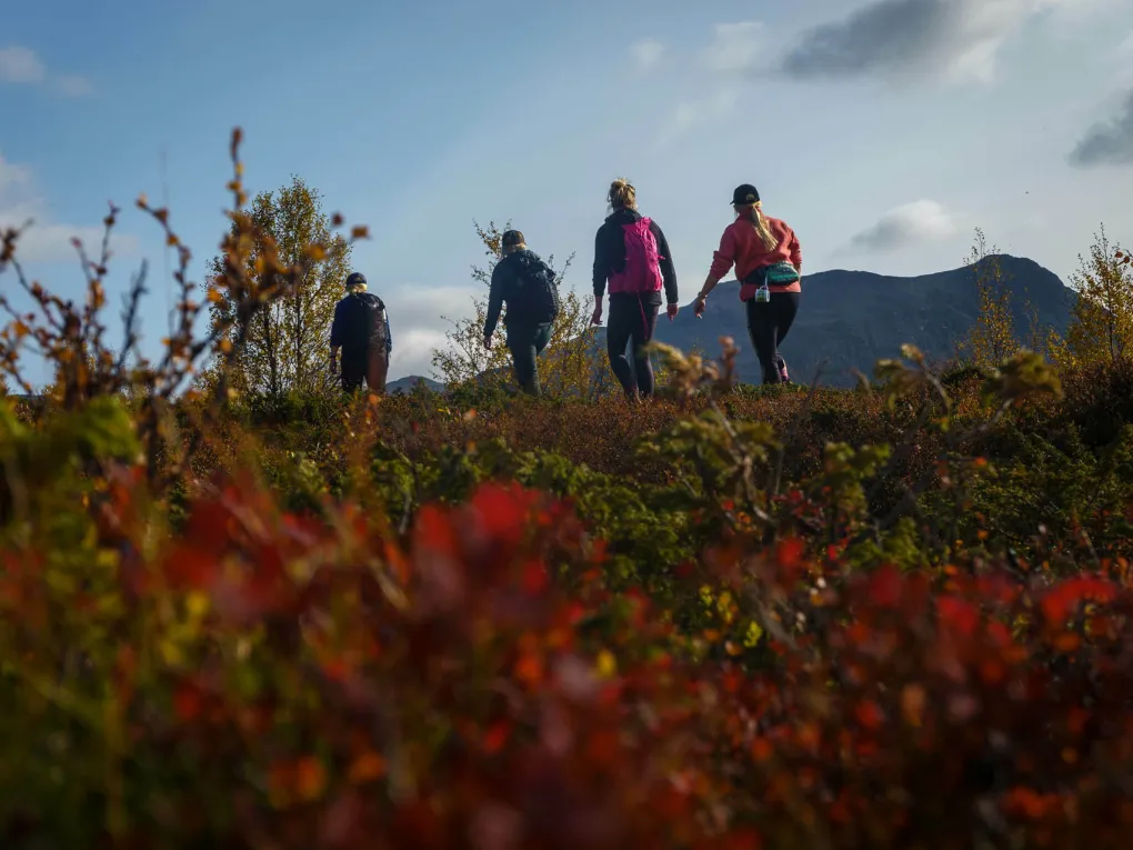Fire mennesker på vandring i fjellet