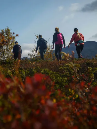 Fire mennesker på vandring i fjellet