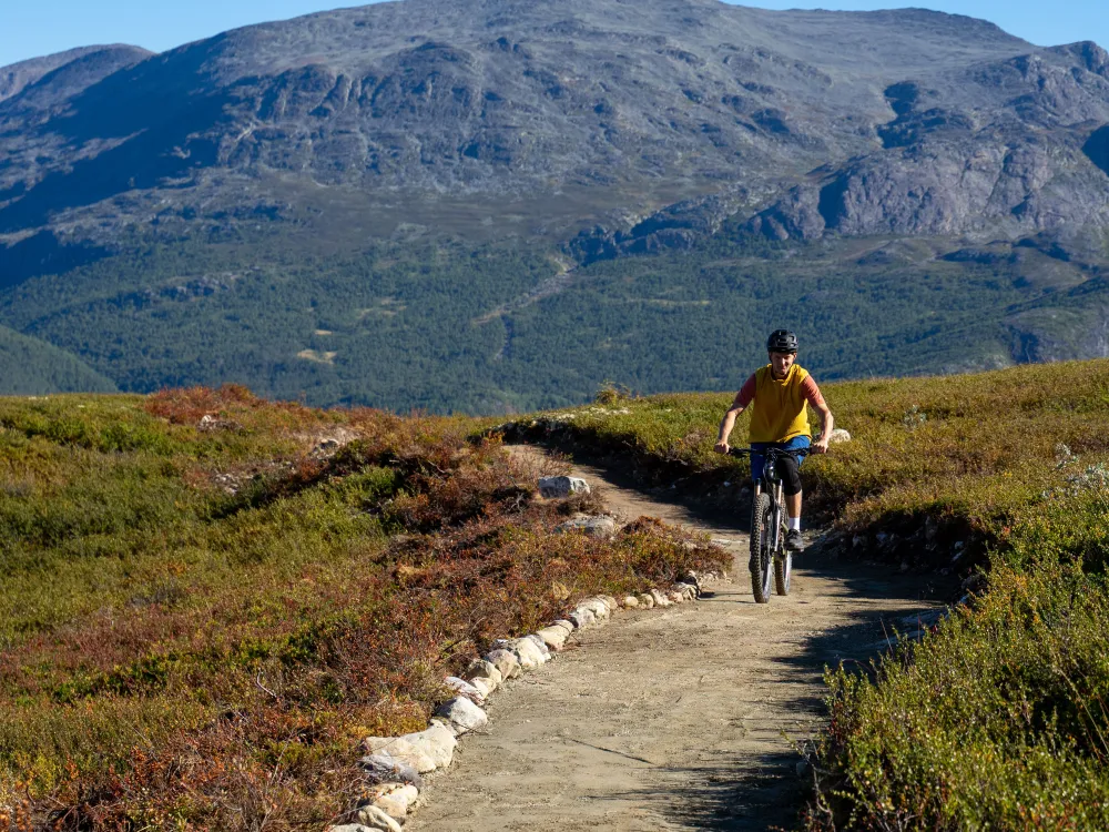 Mann syklende på sykkelsti i Hemsedal