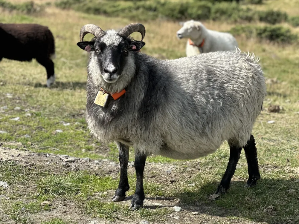 Bilde 14 08 2025 15 01 21