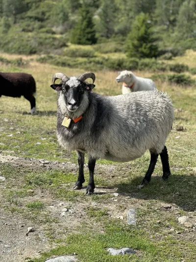 Bilde 14 08 2025 15 01 21