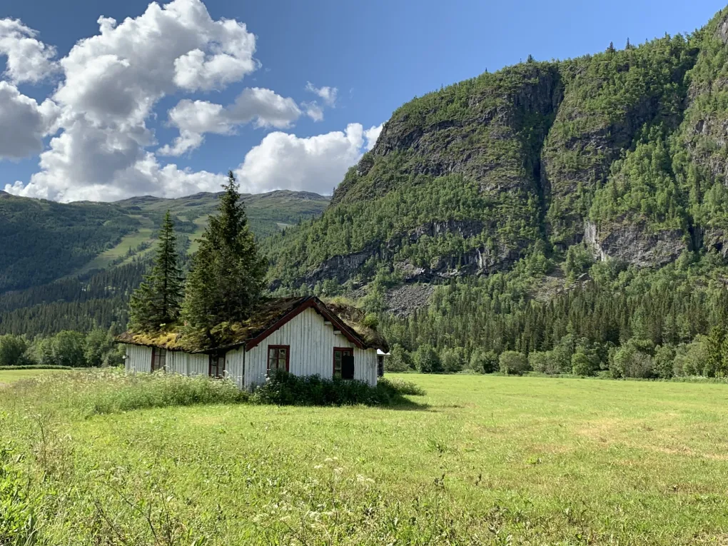 Huset med trær på i Hemsedal