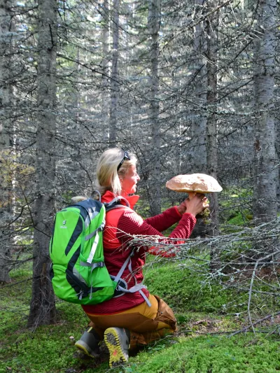 Dame som holder stor sopp i skogen.