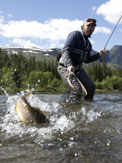 Mann som fanger en fisk i håv