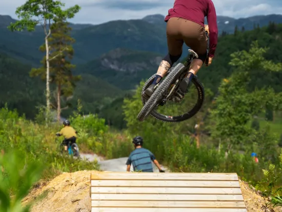 Sykling i tottelia Hemsedal