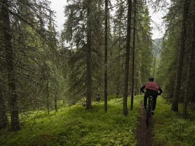 Mann som stisykler i skogen i Hemsedal