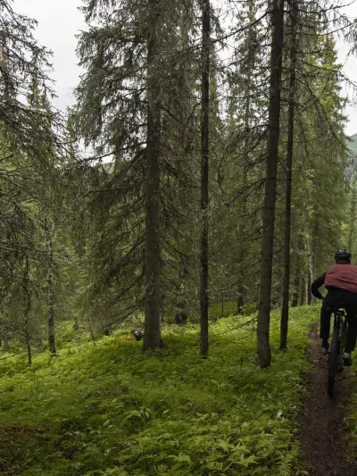 Mann som stisykler i skogen i Hemsedal
