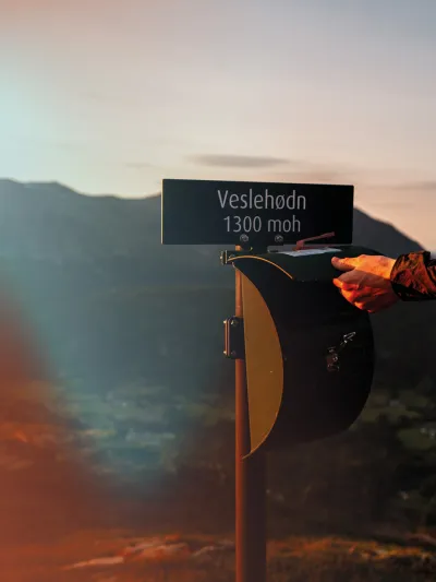 Topp20 Veslehødn icerust.