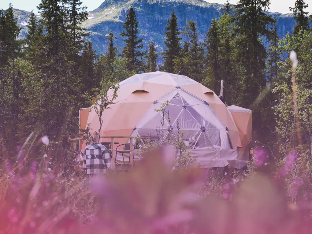 Dyrja domes berry fire 2.