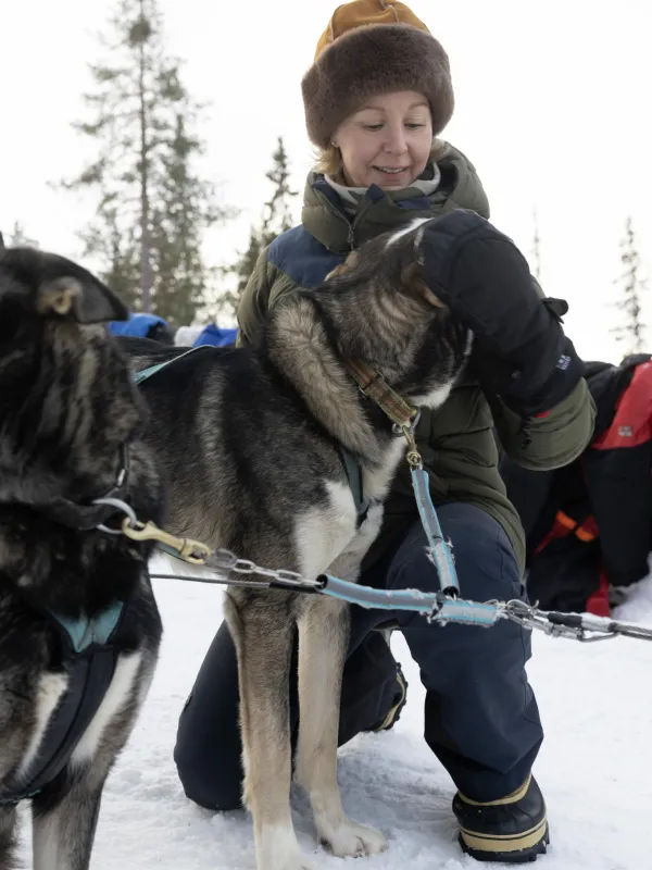 Dame som koser med en av hundene som skal trekke hundesleden