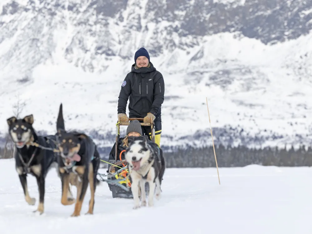 Hundekjøring Hemsedal med Skogshorn bak