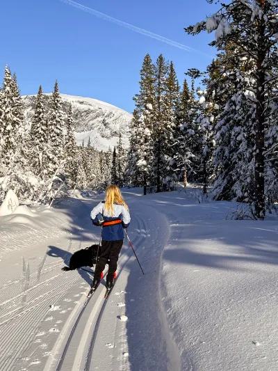 Bilde 17 02 2024 11 16 51 4